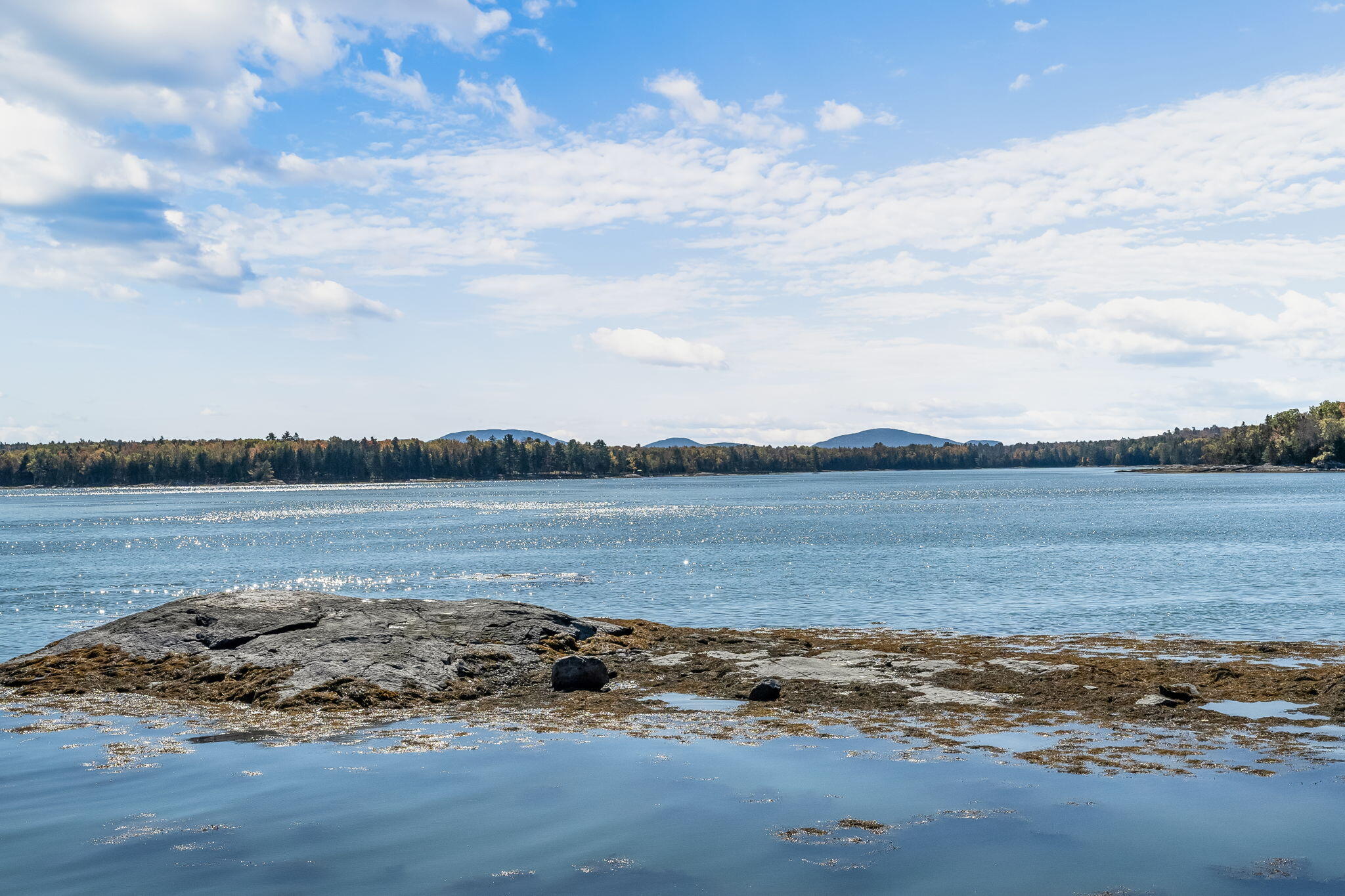 82 Falcon Lane Lamoine ME 04605