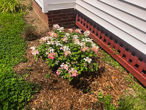 180 Elm Street Bangor ME 04401