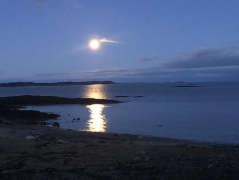 1 Moosabec Shores Jonesport ME 04649