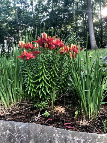 125 Ridgeview Drive Veazie ME 04401