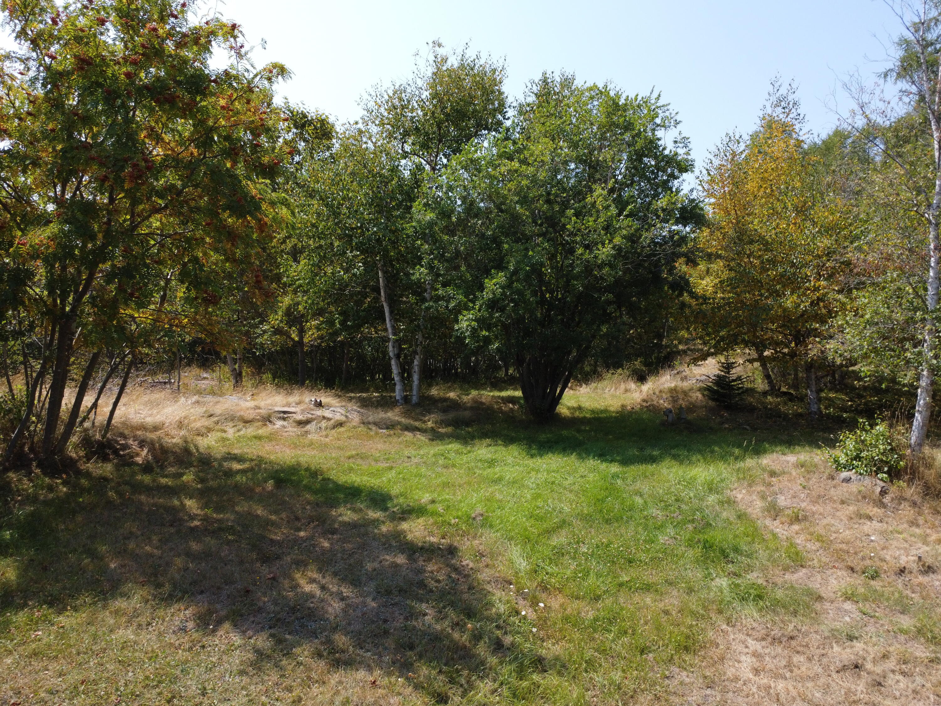 5 Gilman Street Eastport ME 04631