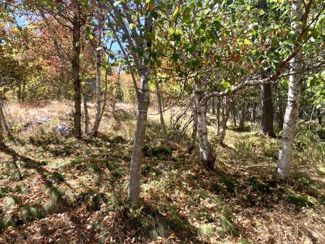 5 Gilman Street Eastport ME 04631