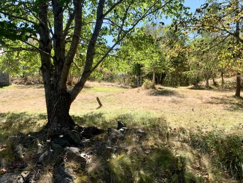 5 Gilman Street Eastport ME 04631