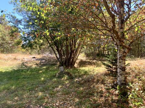 5 Gilman Street Eastport ME 04631