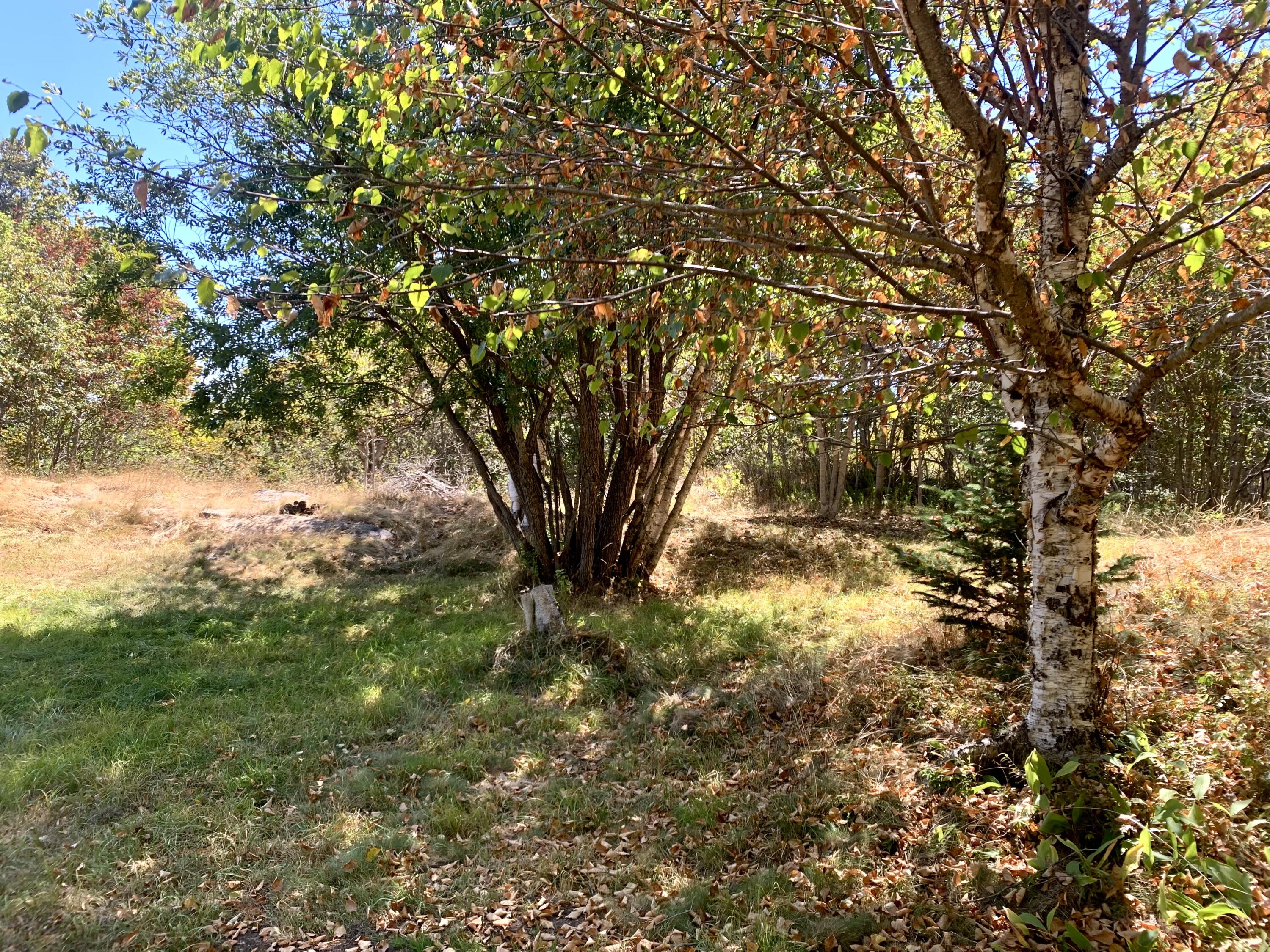 5 Gilman Street Eastport ME 04631