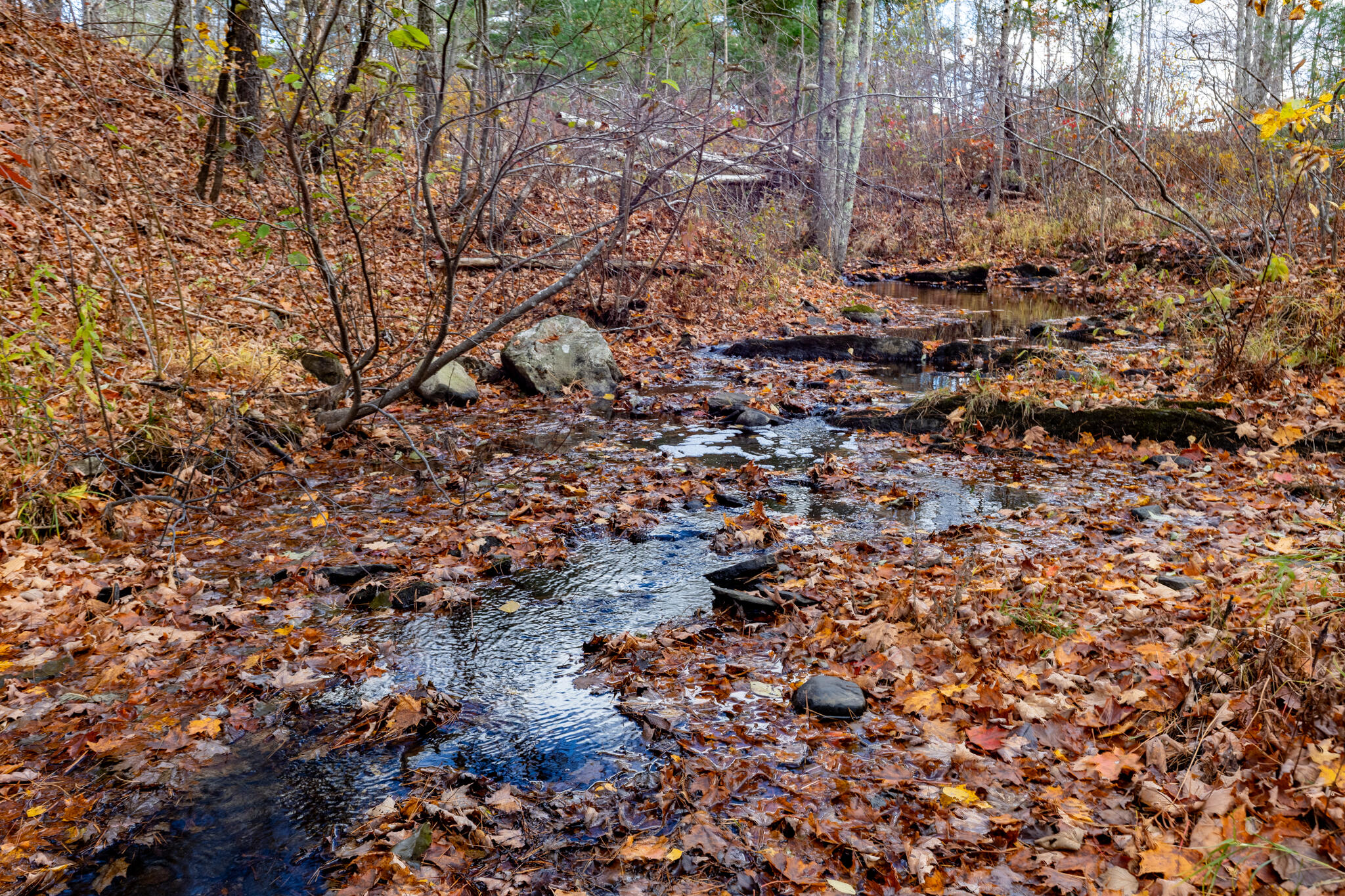 18 South Road China ME 04358