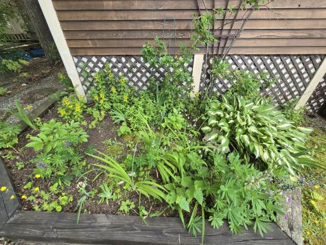 402 Stanhope Mill Road Lincoln ME 04457