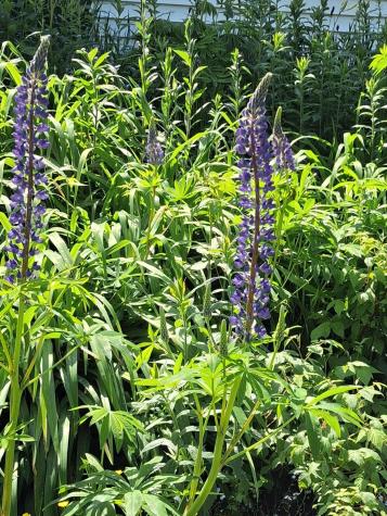 67 Huddle Road Bristol ME 04554