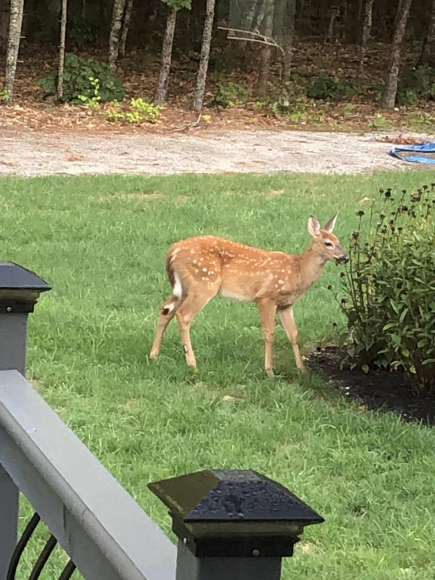 36 Mill Road Buxton ME 04093