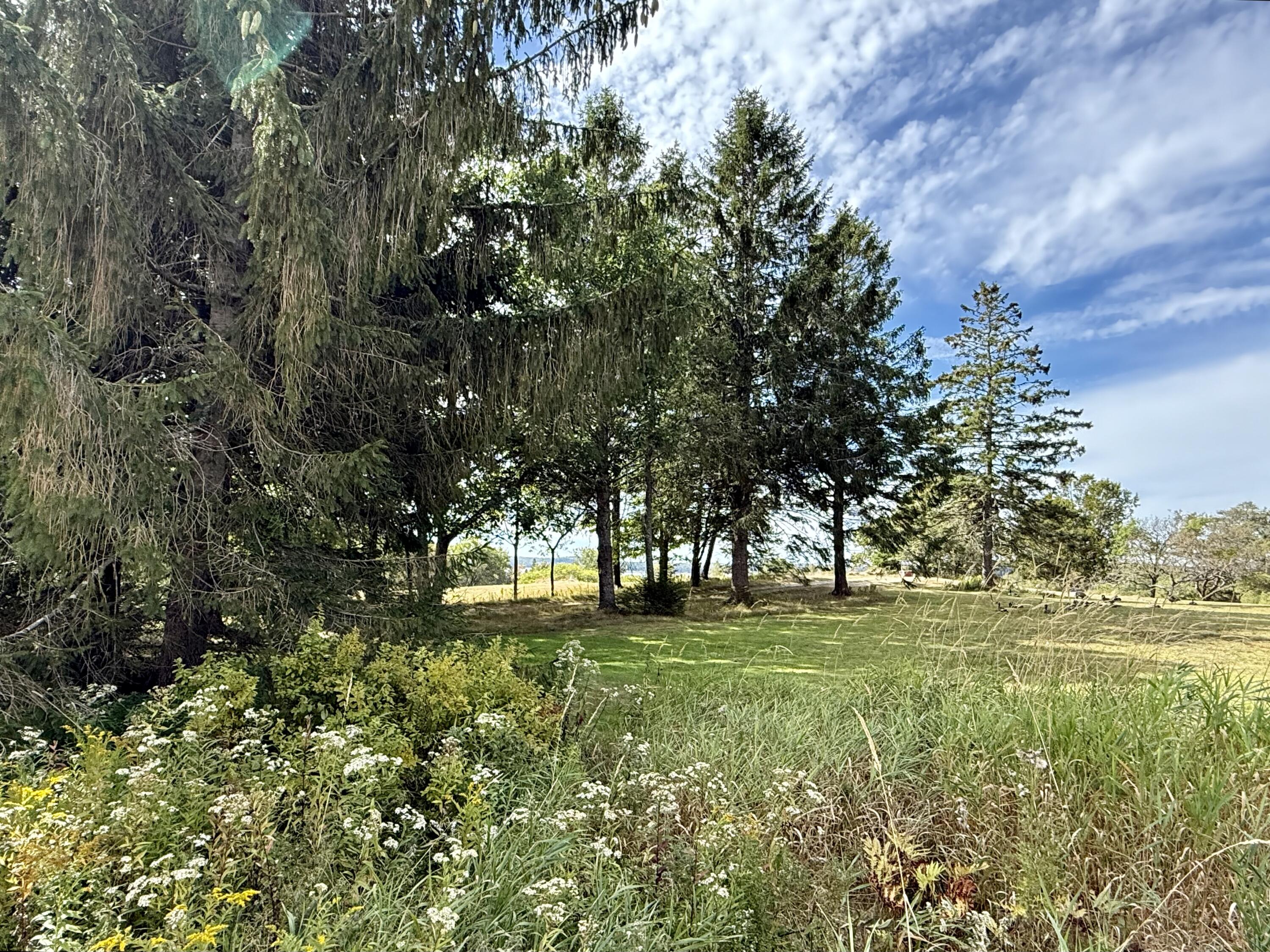 82 County Road Eastport ME 04631