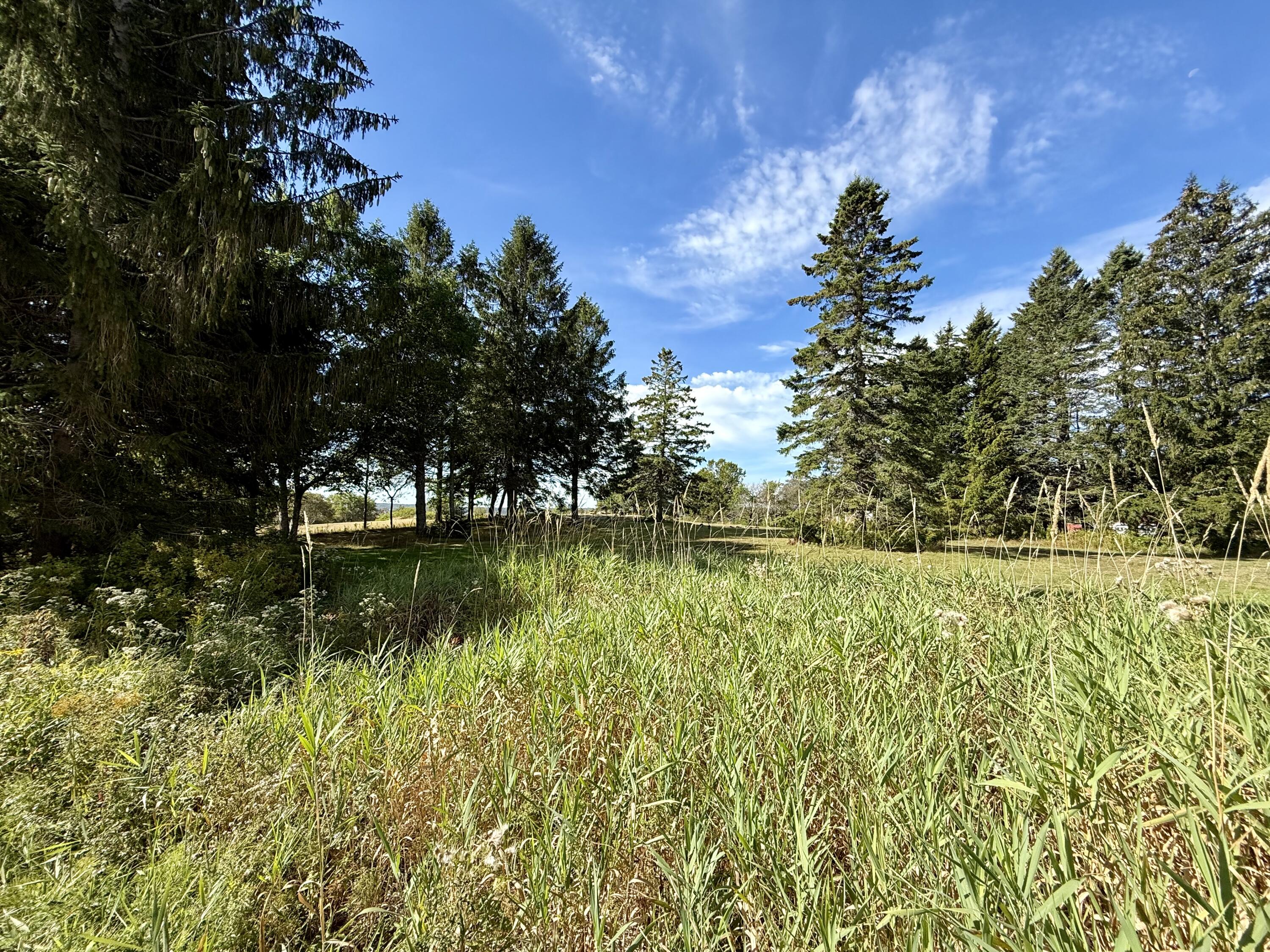 82 County Road Eastport ME 04631