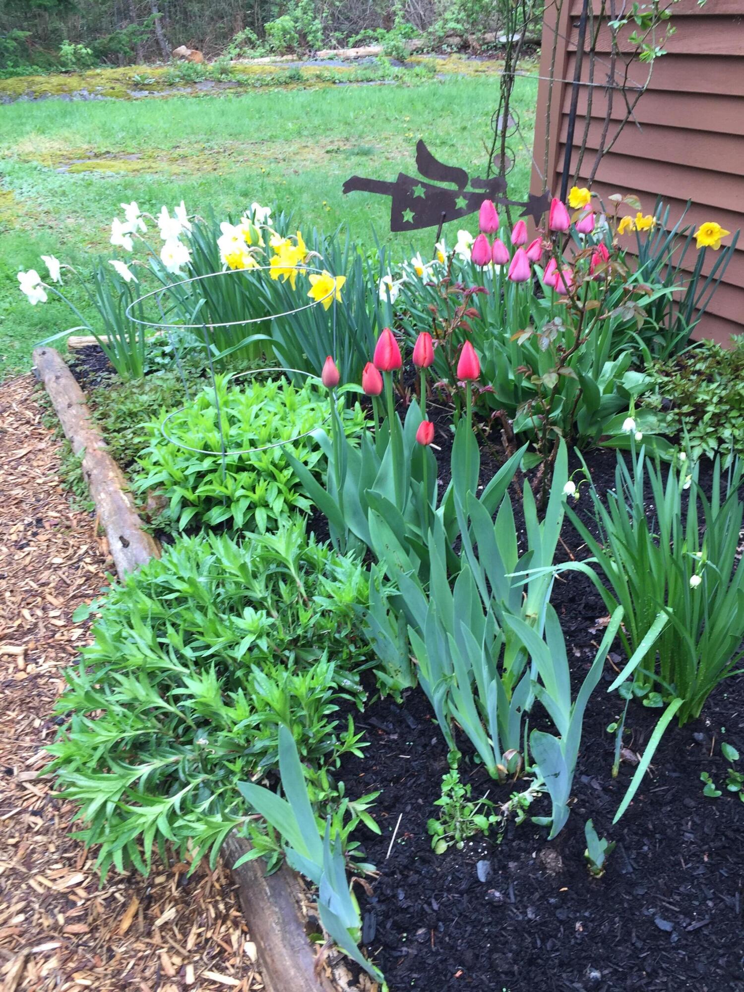 11 Ocean Drive Lincolnville ME 04849