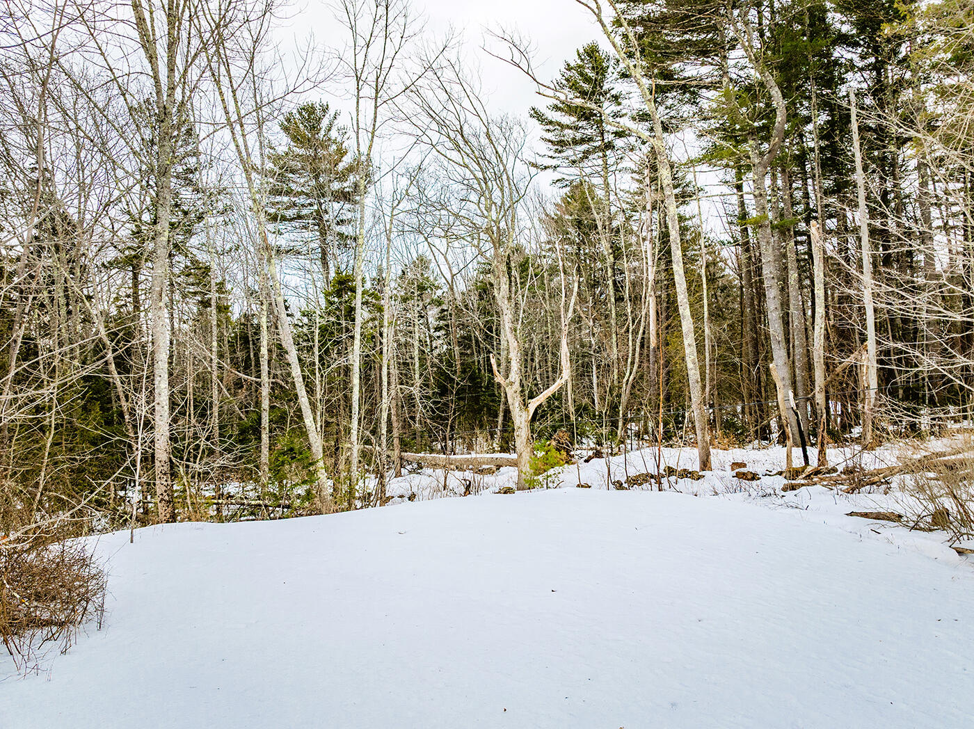 11 Ocean Drive Lincolnville ME 04849