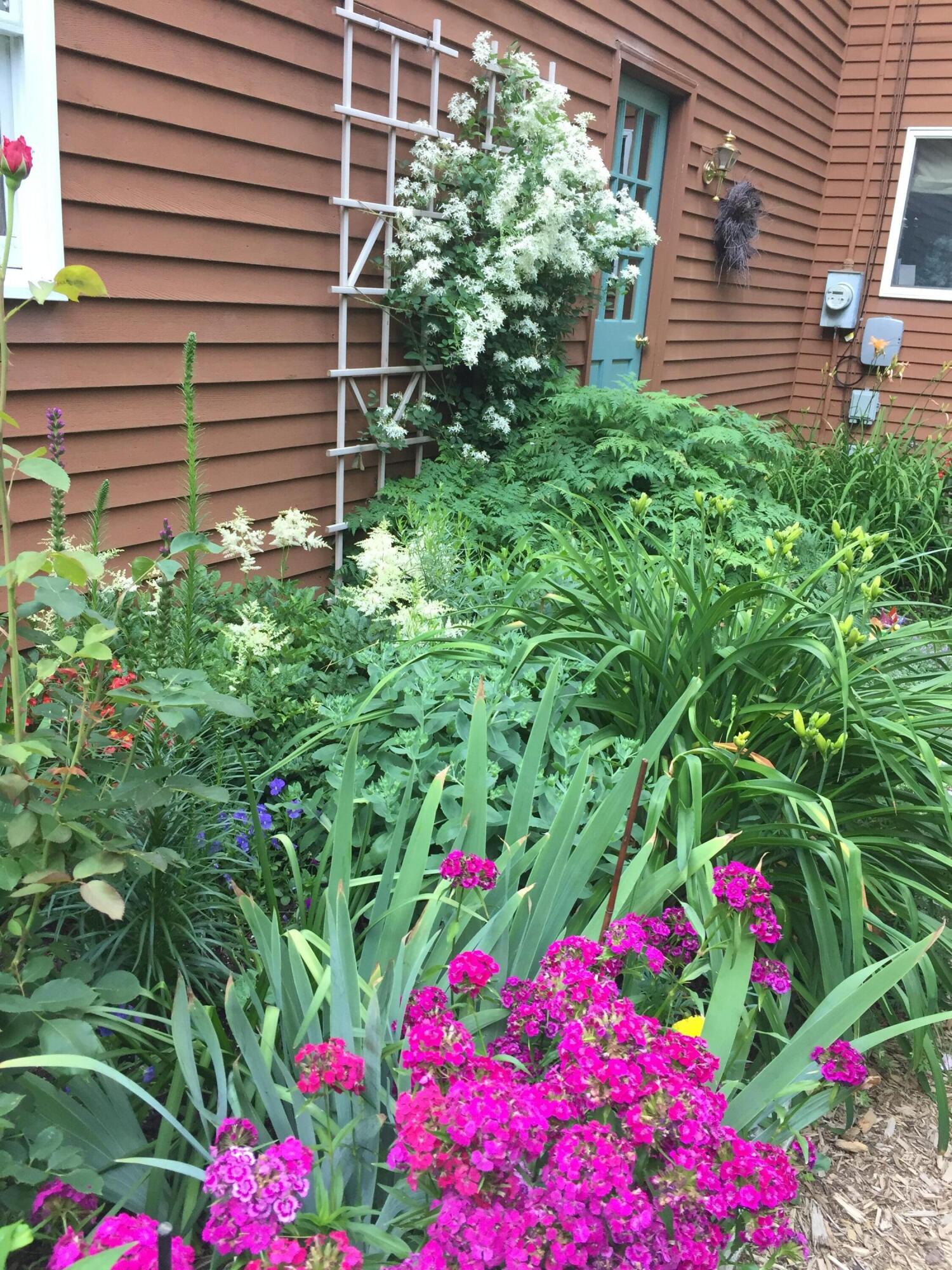 11 Ocean Drive Lincolnville ME 04849