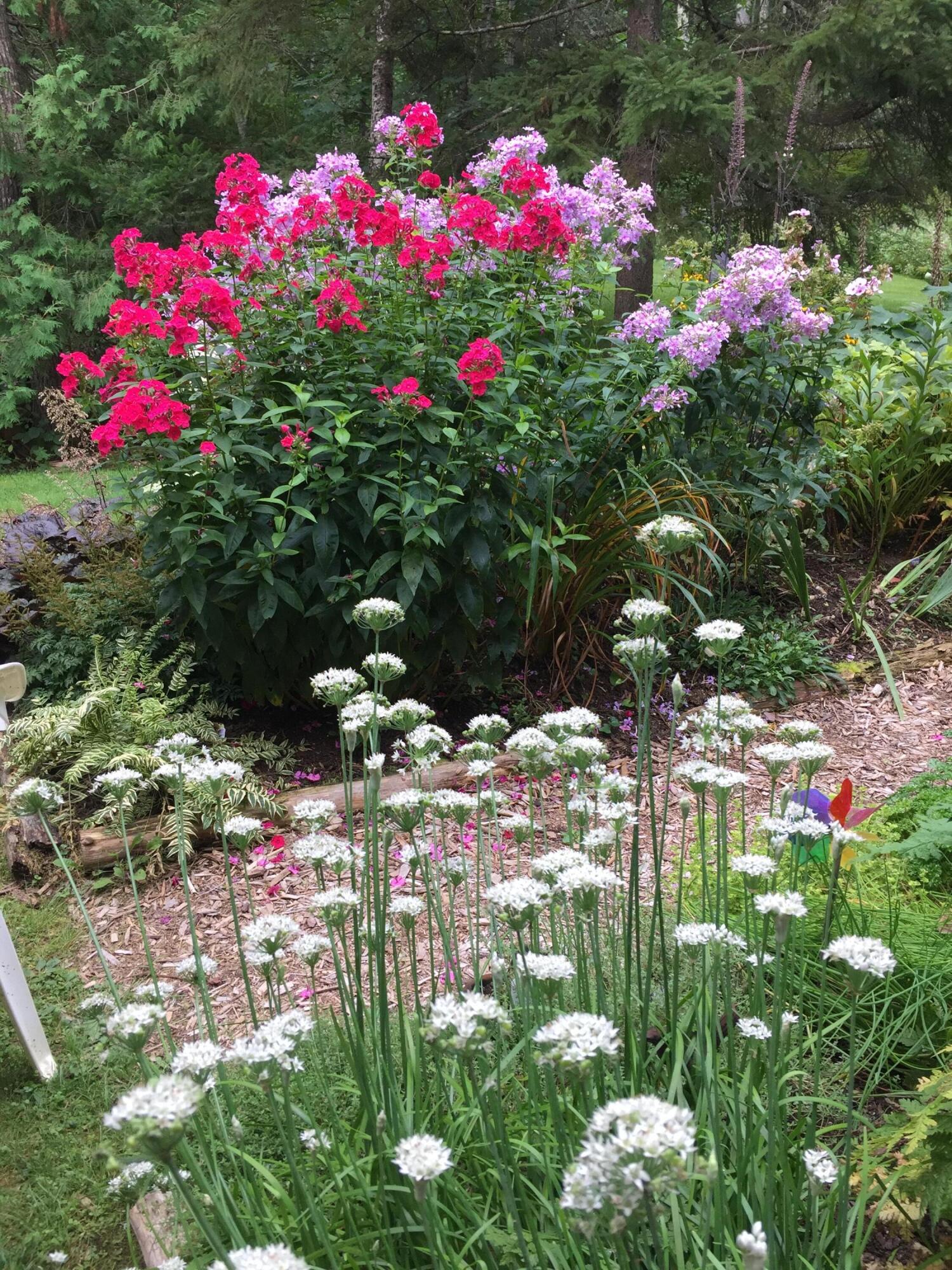 11 Ocean Drive Lincolnville ME 04849