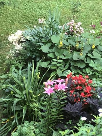 11 Ocean Drive Lincolnville ME 04849