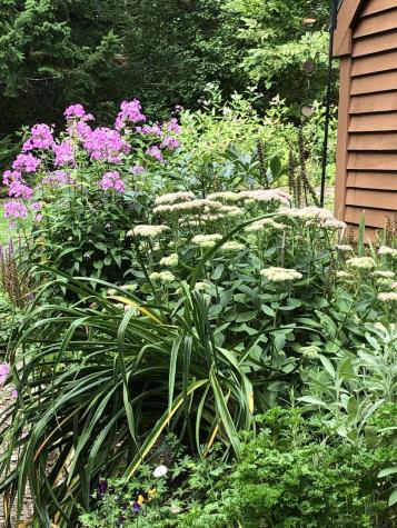 11 Ocean Drive Lincolnville ME 04849