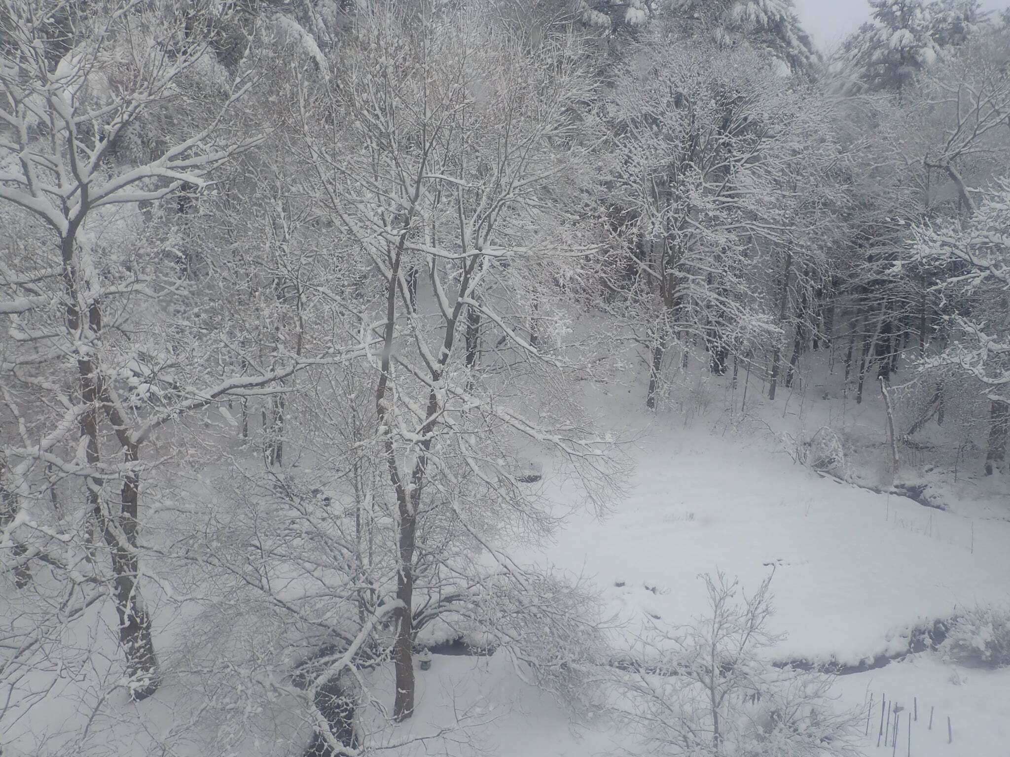 38 Main Street Topsham ME 04086