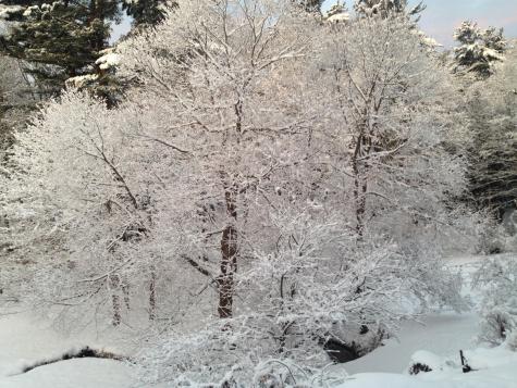 38 Main Street Topsham ME 04086