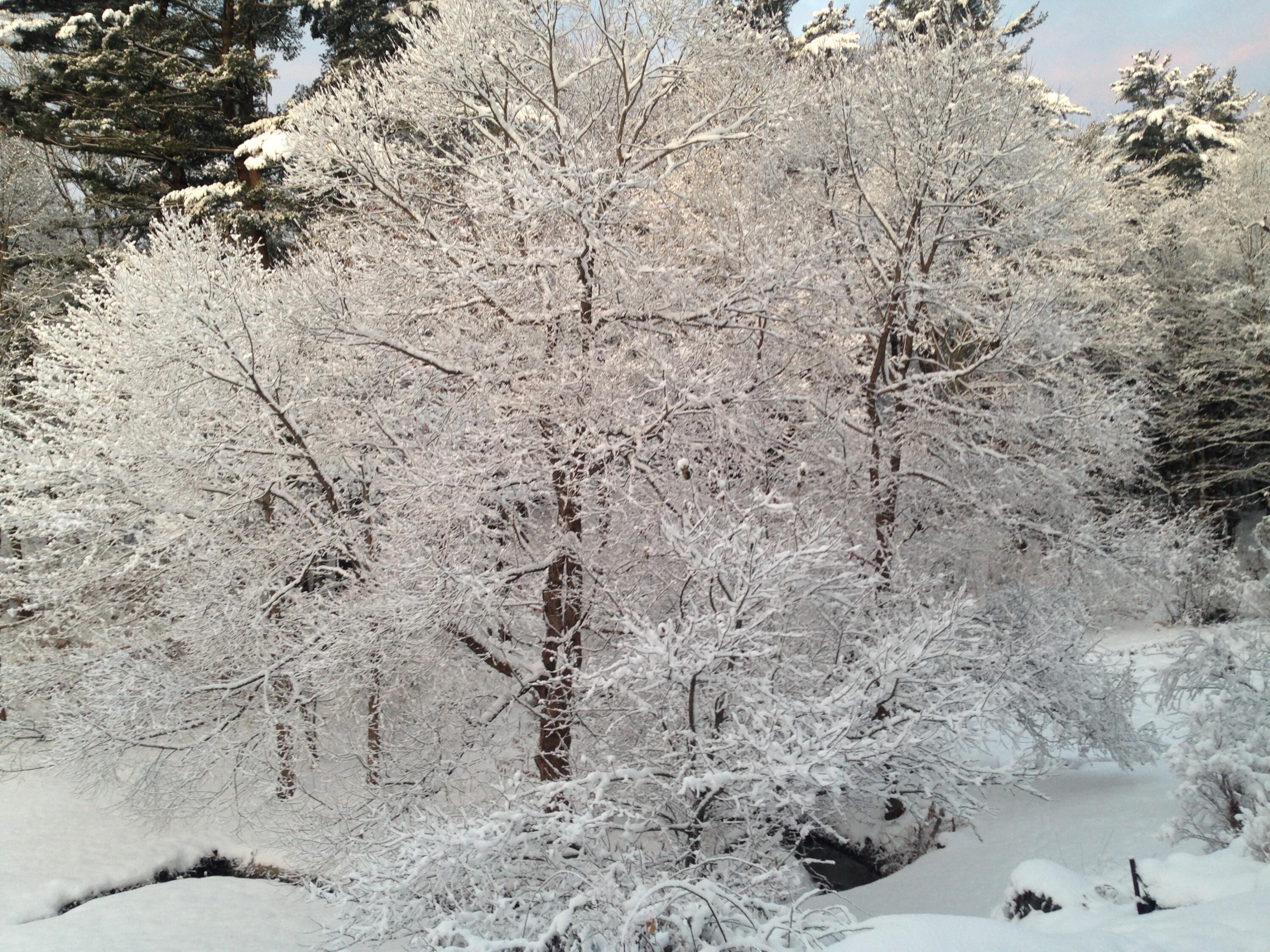 38 Main Street Topsham ME 04086