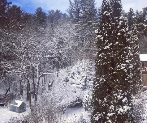 38 Main Street Topsham ME 04086