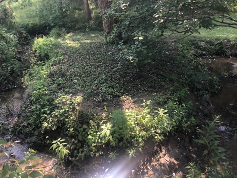 38 Main Street Topsham ME 04086