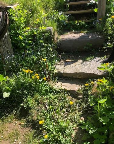 38 Main Street Topsham ME 04086