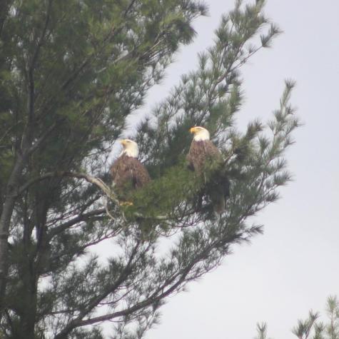 38 Main Street Topsham ME 04086