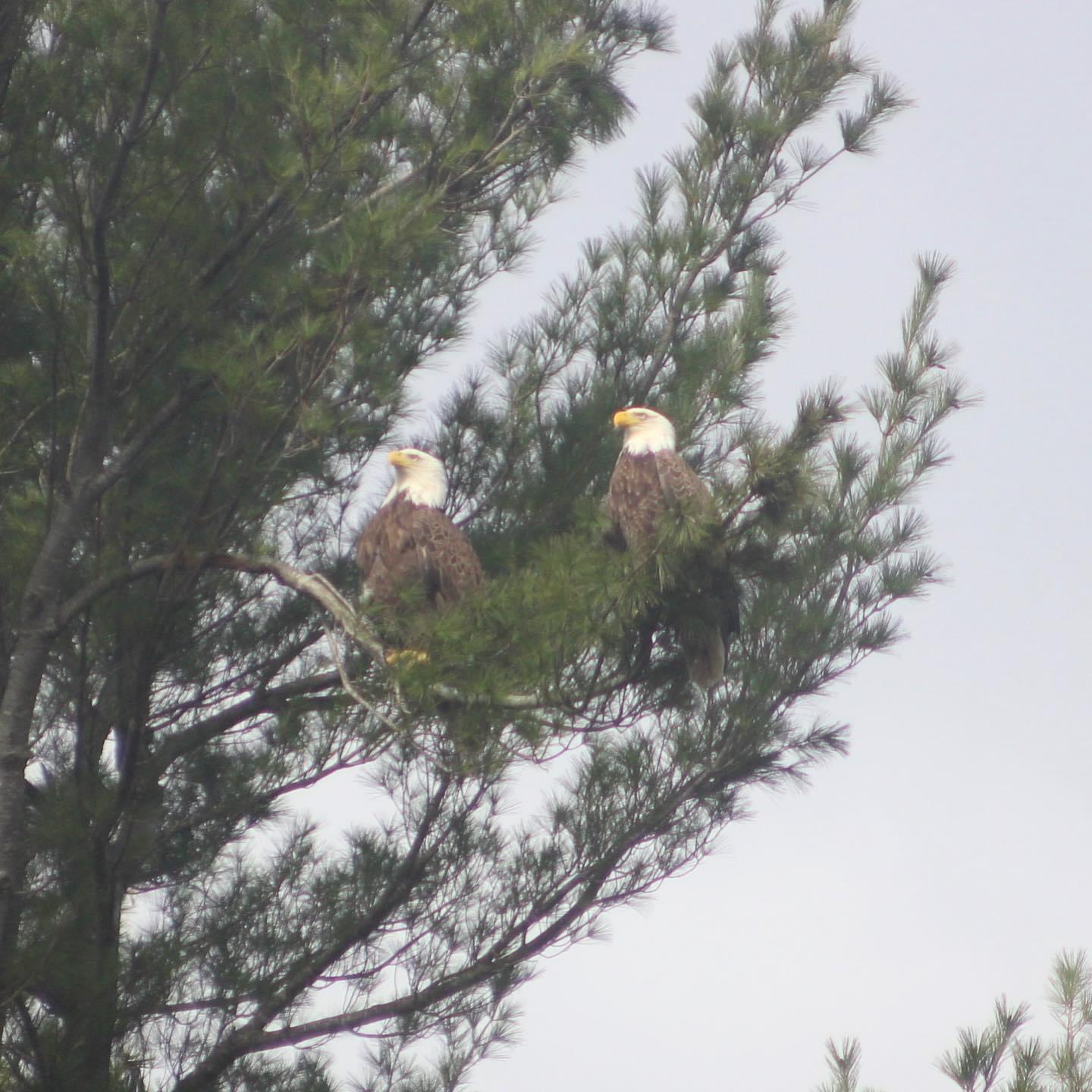 38 Main Street Topsham ME 04086