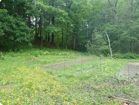 38 Main Street Topsham ME 04086