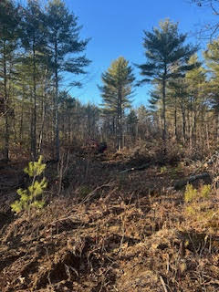 866 Parker Farm Lot A Road Buxton ME 04093