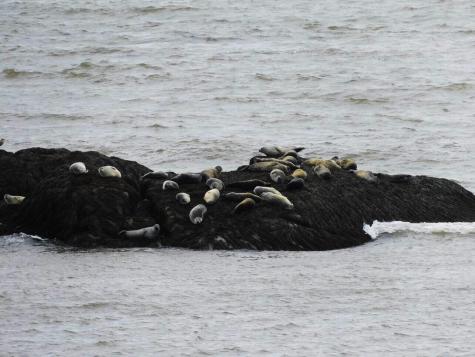 14 Wallace Cove Road Lubec ME 04652