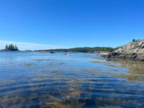 14 Wallace Cove Road Lubec ME 04652