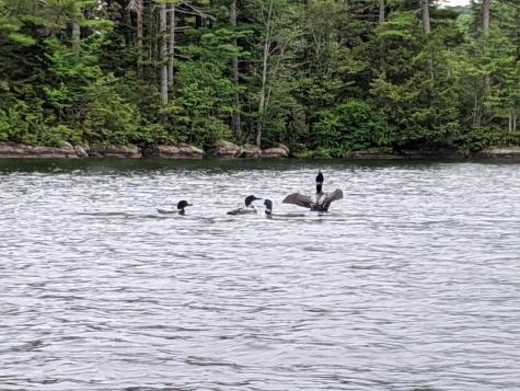 78 Sunset Road Dedham ME 04429