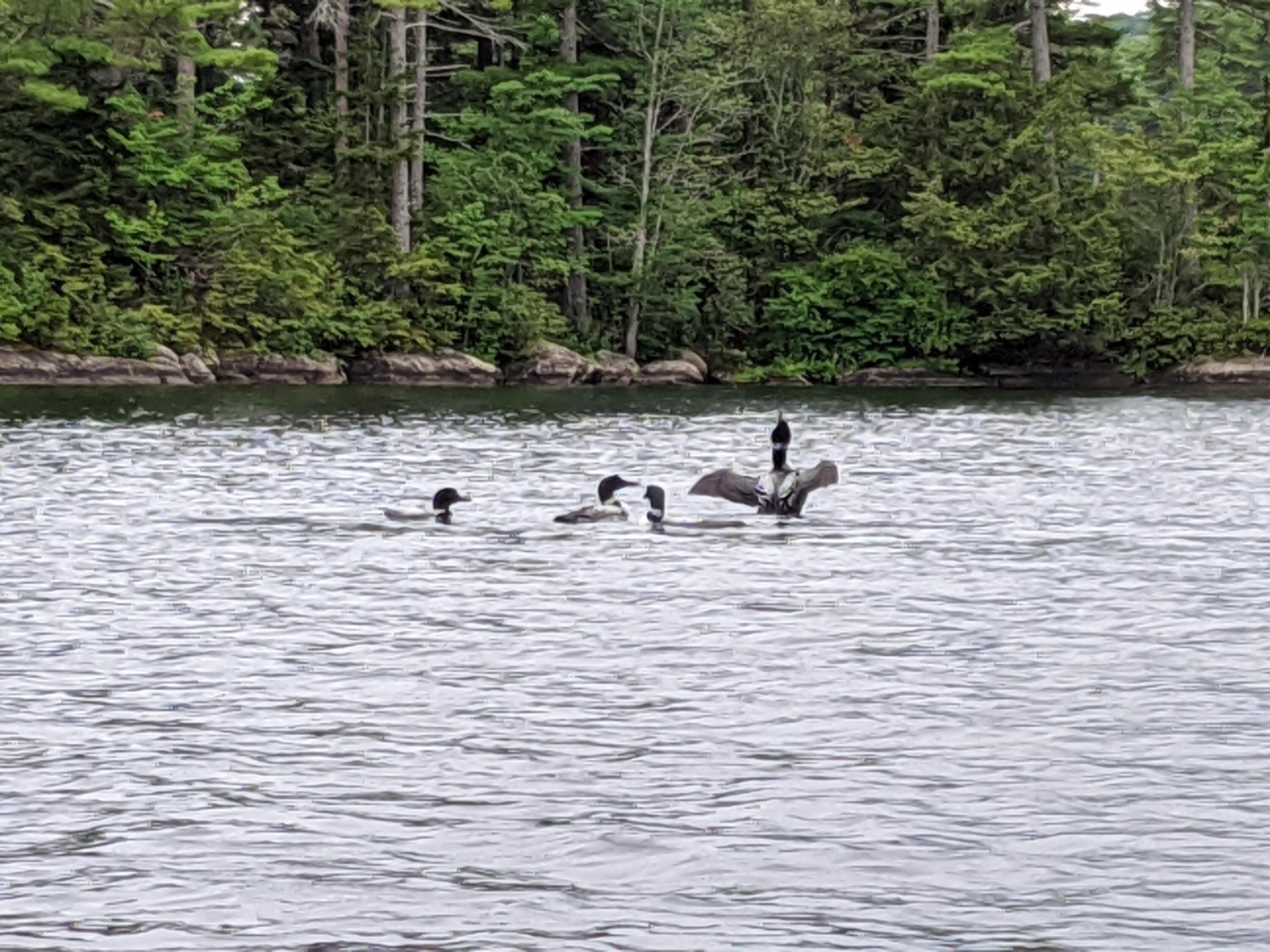 78 Sunset Road Dedham ME 04429