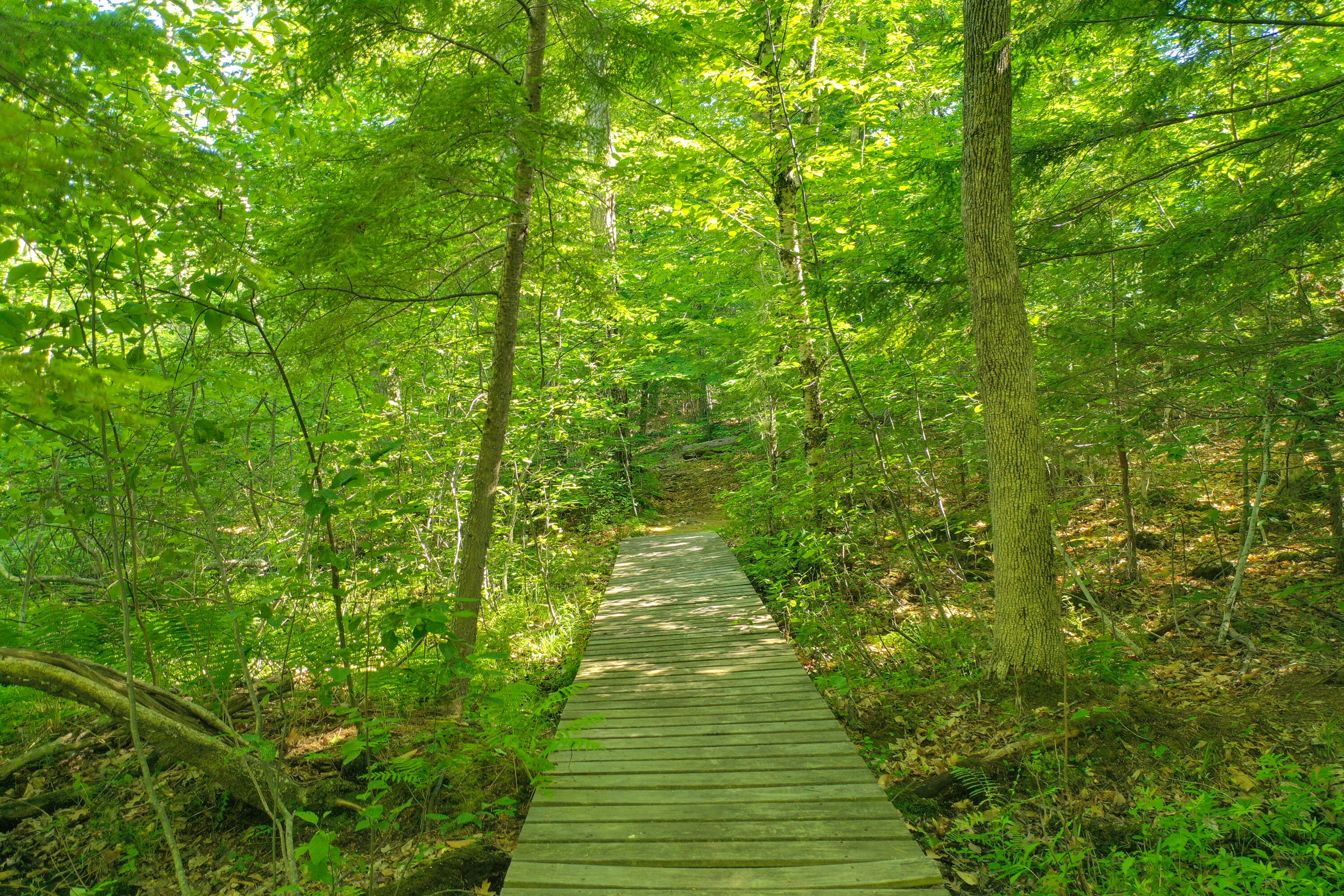 185 Rolling Hill Drive Naples ME 04055