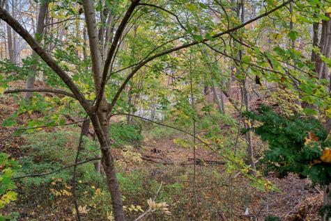 44 Brown Street Kennebunk ME 04043