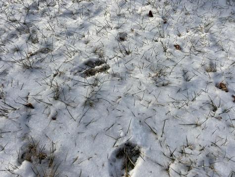 104 Raccoon Road Cushing ME 04563