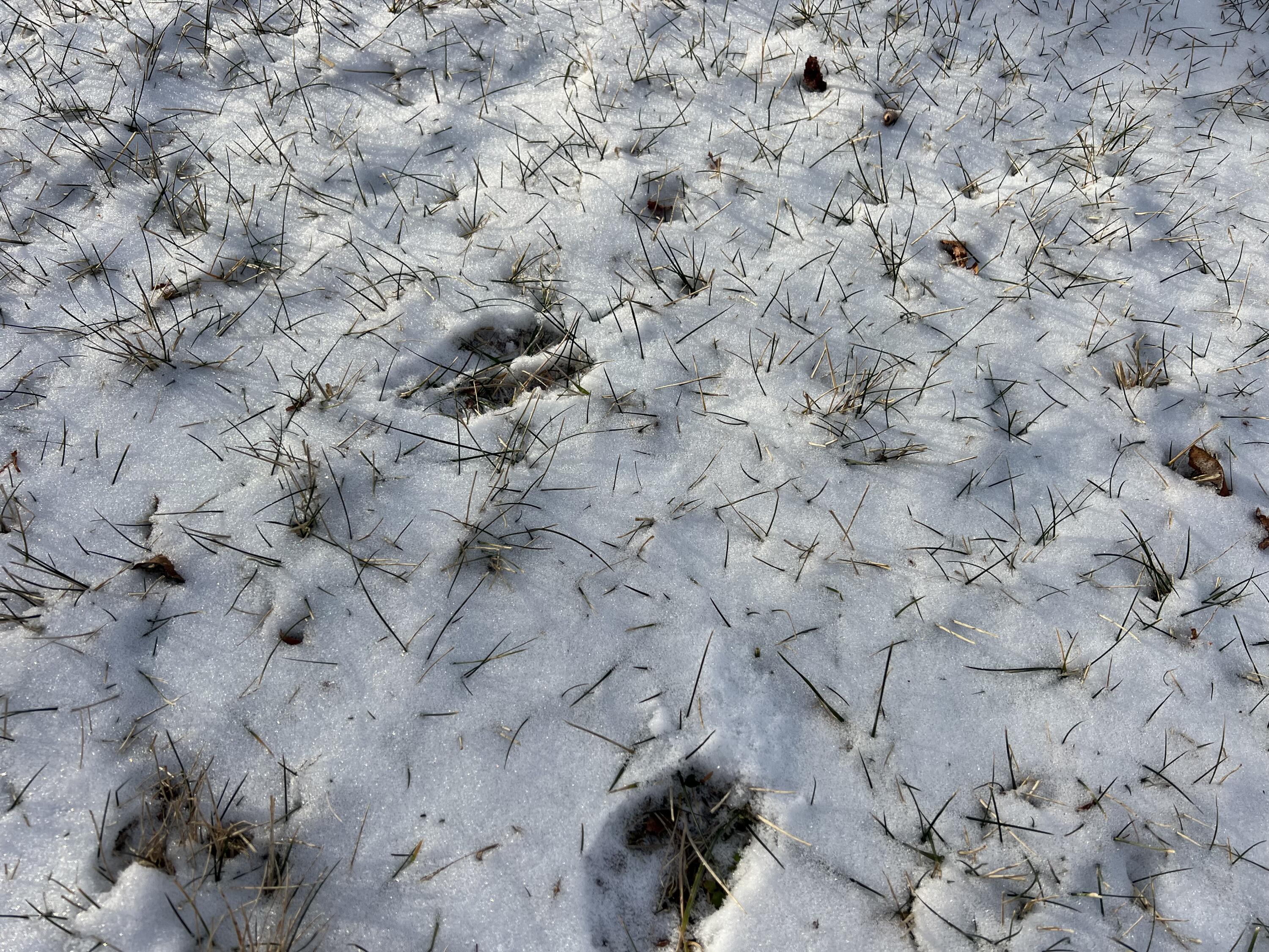 104 Raccoon Road Cushing ME 04563