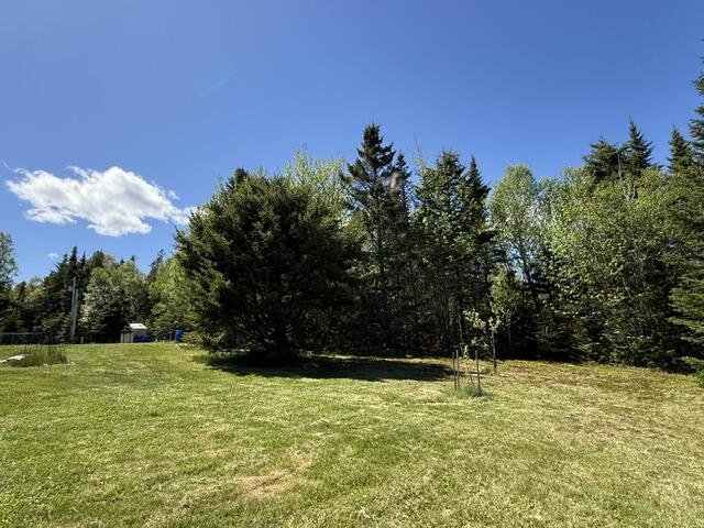 1175 Us-1 Robbinston ME 04671