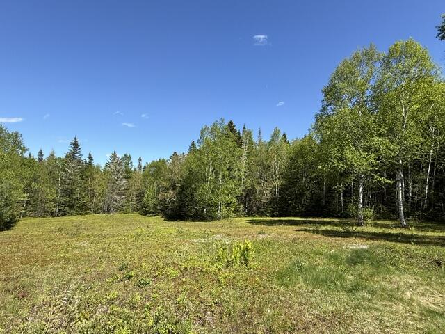 1175 Us-1 Robbinston ME 04671