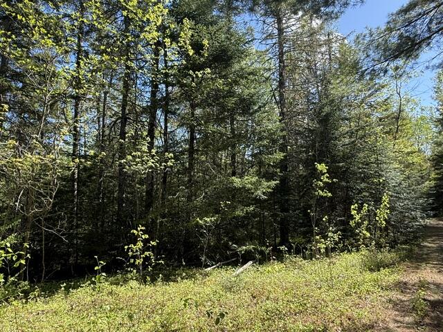 1175 Us-1 Robbinston ME 04671