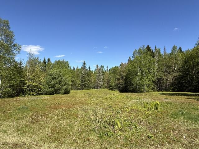 1175 Us-1 Robbinston ME 04671