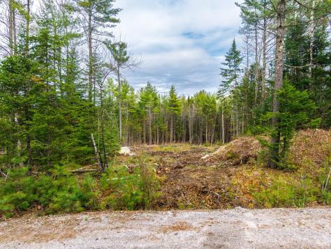 2 Forest Drive Albany Twp ME 04217