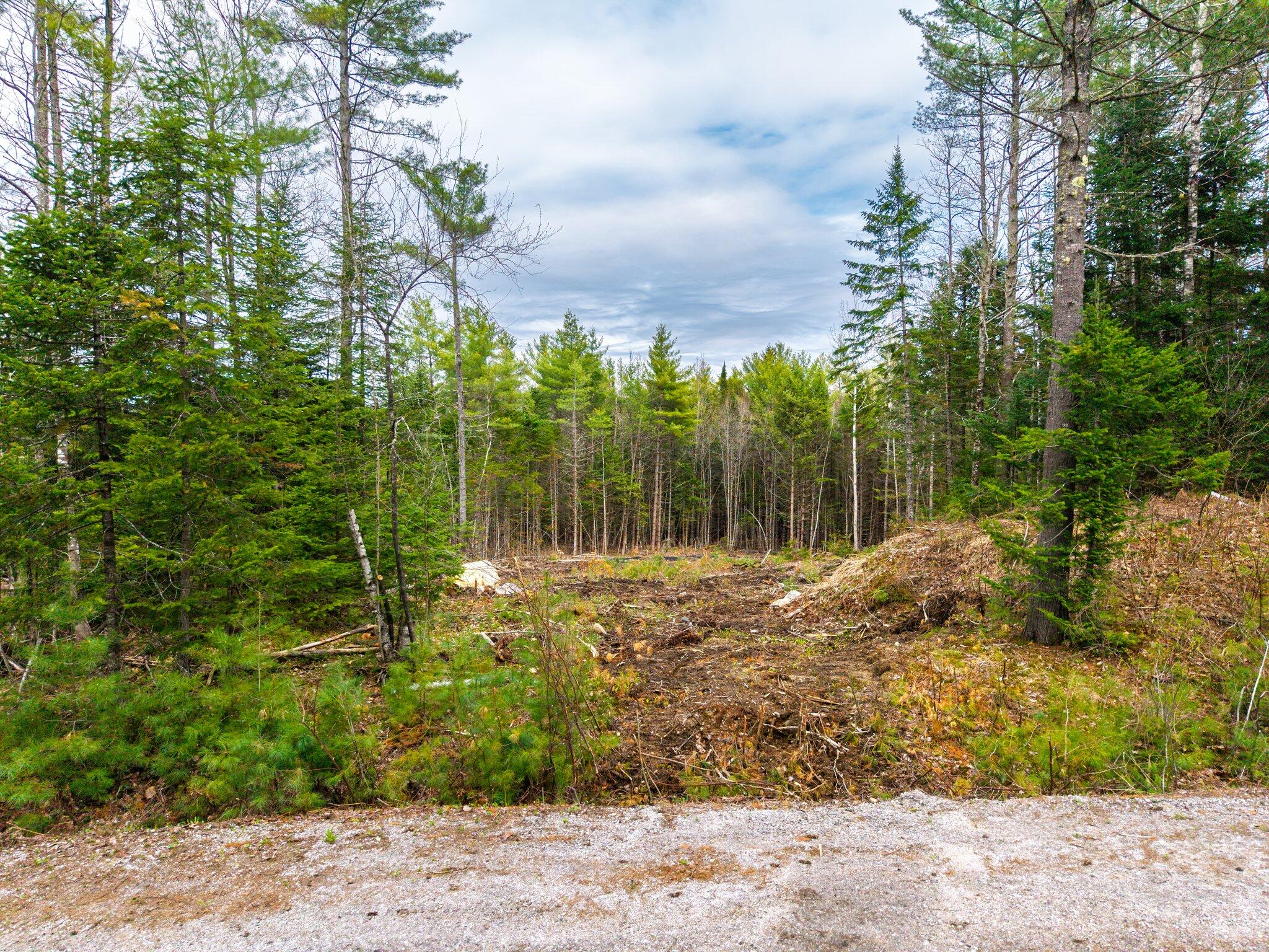 2 Forest Drive Albany Twp ME 04217