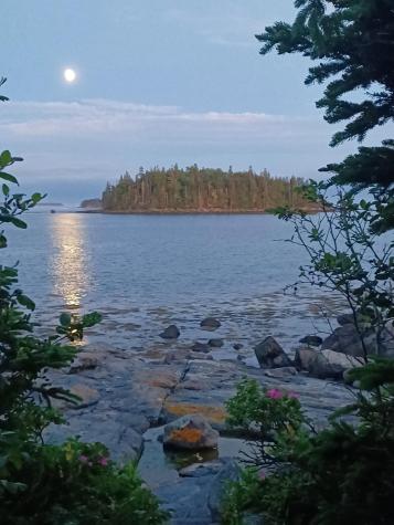 0 Wohoa Bay Island Addison ME 04606
