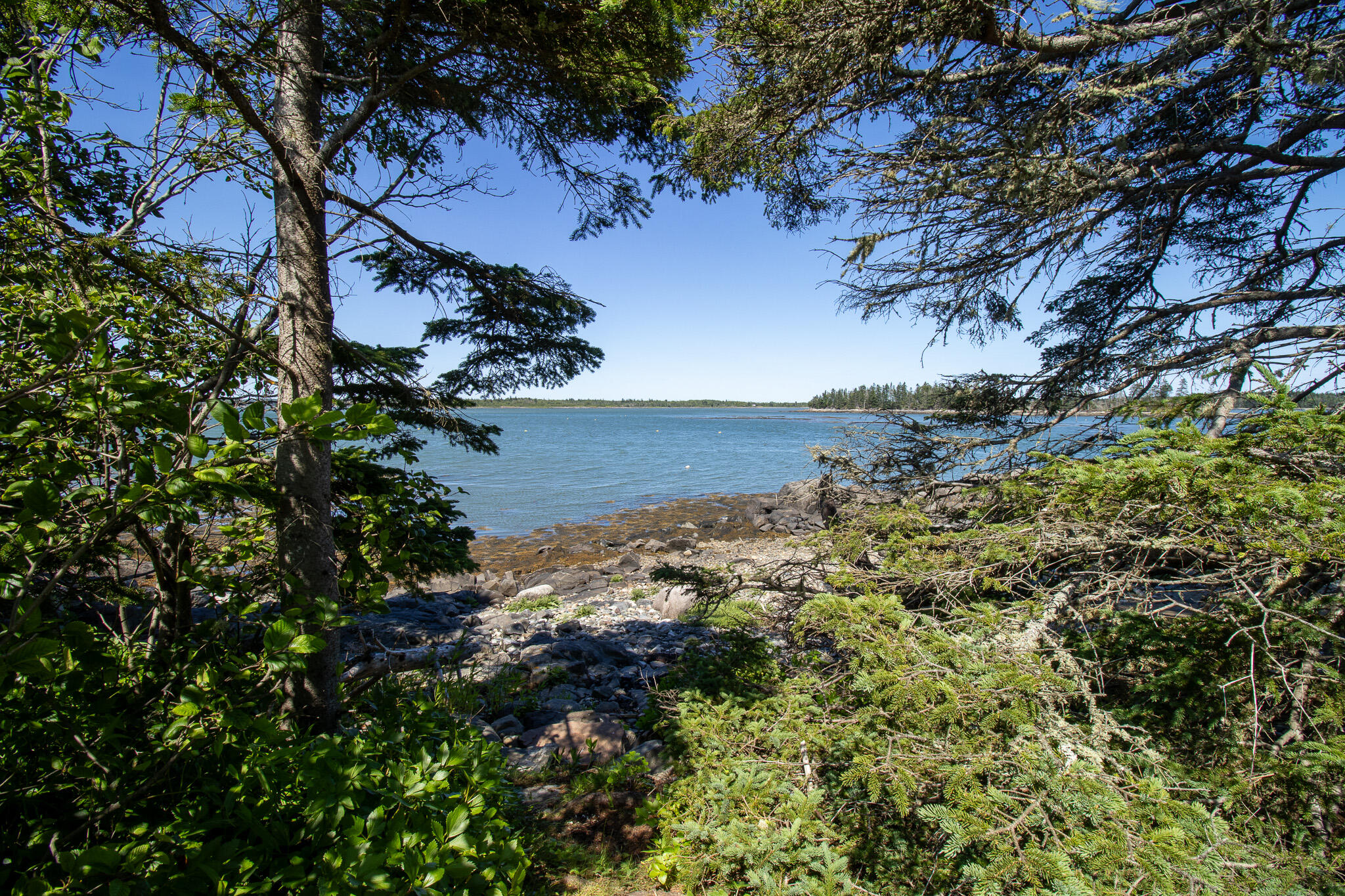 0 Wohoa Bay Island Addison ME 04606
