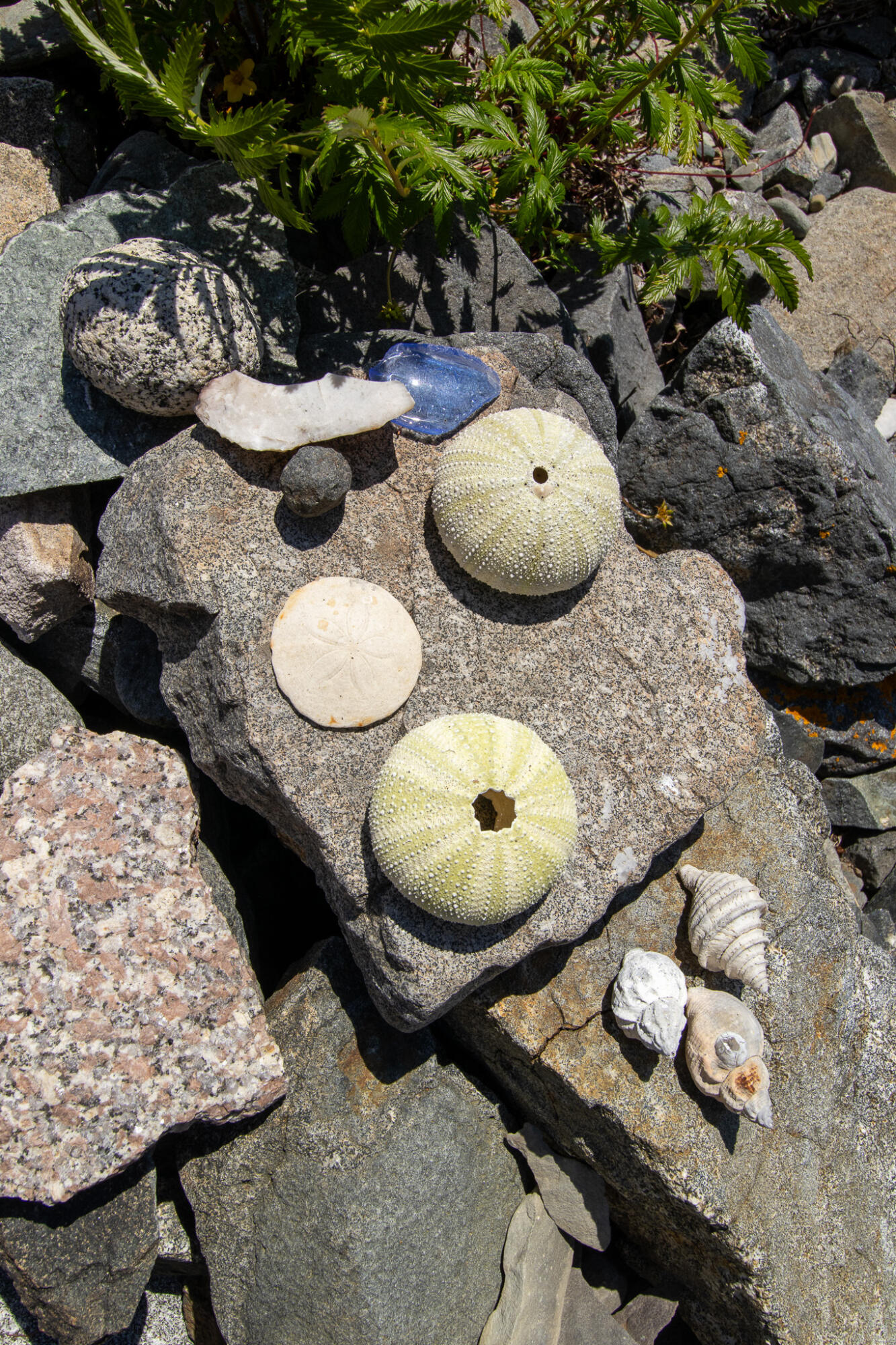 0 Wohoa Bay Island Addison ME 04606