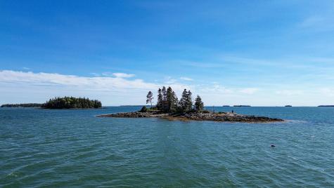 0 Wohoa Bay Island Addison ME 04606
