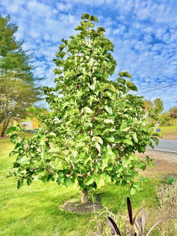 94 Town House Road Vienna ME 04360